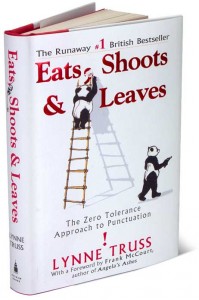 Book Cover with two pandas: one is on a ladder and the other is walking away with a gun